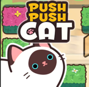 Push Push Cat
